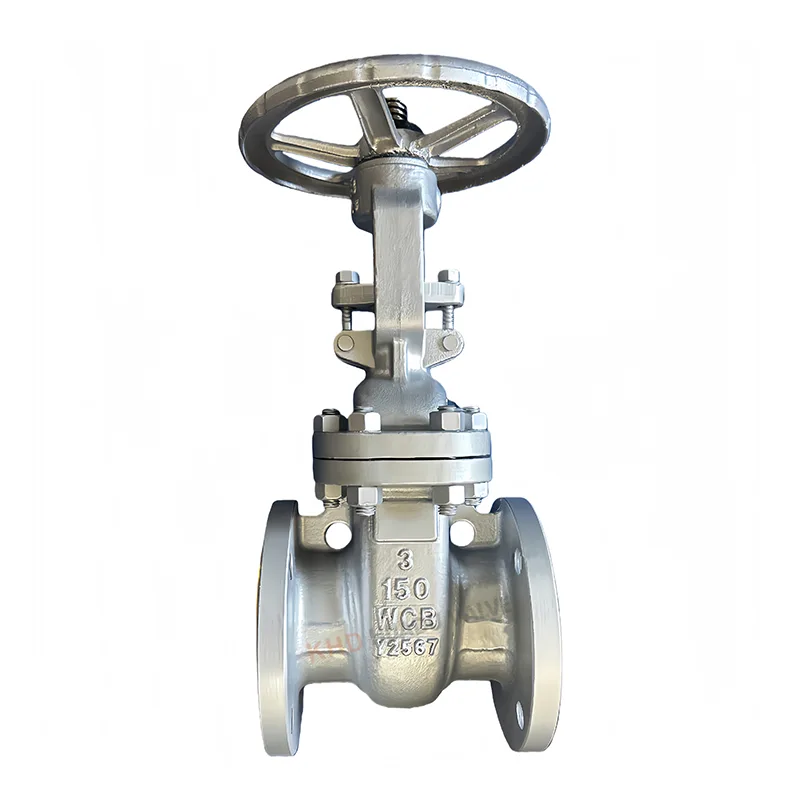 Carbon Steel ANSI Gate Valve